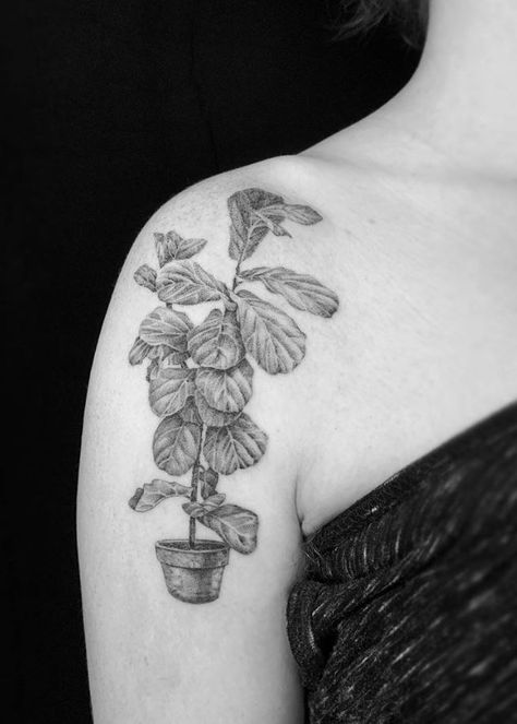 Fiddle Leaf Fig Tattoo - TattManiaTattMania Fiddle Leaf Tattoo, Fiddle Leaf Tree Tattoo, Fig Flower Tattoo, Fiddle Leaf Fig Tattoo, Sylvia Plath Tattoo Fig Tree, Fig Leaves Tattoo, Fiddle Leaf Fig Drawing, Fig Plant Tattoo, Fig Leaf Tattoo