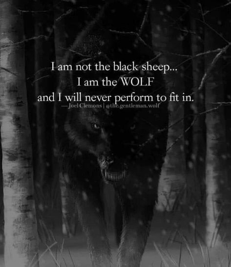 Wolf Mentality, Good Memories Quotes, Take Me To Neverland, Lone Wolf Quotes, Twisted Quotes, Magic Quotes, Wolf Quotes, Wolf Spirit Animal, She Wolf