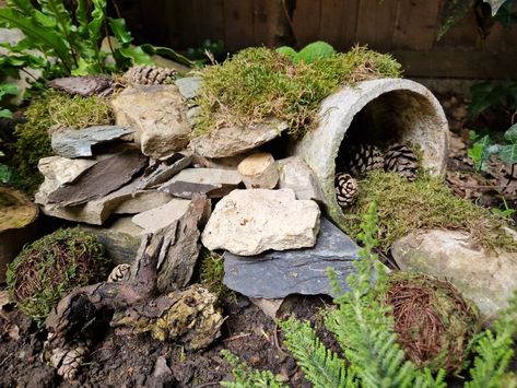 We love designing gardens with wildlife in mind. This hibernaculum provides a fantastic shelter for amphibians and insects, giving them somewhere safe and warm to rest. We'd love to introduce more wildlife-friendly features like this, drop us a message if you're interested in creating spaces like this 😁  #savethebees #eco #habitats #animals #happy #enviroment #craft #natural #living #sun #sustainability #kent #survival #home #love #gardening #sustainablegardensolutions Wildlife Friendly Garden Ideas, Designing Gardens, Habitat Garden, National Wildlife Federation, Wildlife Garden, Cottage Garden Design, Wildlife Gardening, Wildlife Habitat, Sustainable Garden