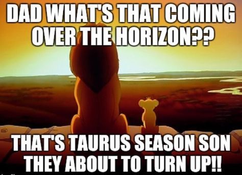 Taurus Season Taurus Memes, Taurus Season, Afrofuturism Art, Season Quotes, Taurus Quotes, Good Vibes Quotes, Gemini Season, Zodiac Signs Taurus, Taurus Man