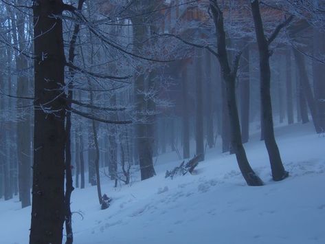 Snow Forest Photography, Ethereal Winter Aesthetic, Cold Air Aesthetic, Winter Landscape Photography, Ice Lake, Mountains Aesthetic, Snow Forest, Arkham City, Painting Snow