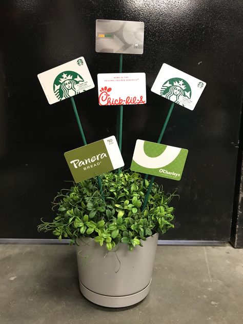 Plant With Gift Cards, Flower Pot Gift Card Bouquet, Gift Card Bouquet For Teachers, Teacher Gardening Gifts, Plants For Teachers Gift, Teacher Gift Plant, Plant Thank You Gifts, Teacher Appreciation Gift Card Bouquet, Teacher Appreciation Gifts Plants