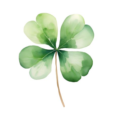 Four Leaf, Four Clover Leaf, Clover Watercolor, Clover Aesthetic, Clover Watercolor Painting, Four Leaf Clover Tattoo Watercolor, Four Leaf Clover Drawing, Four Leaf Clover Watercolor, 4 Leaves Clover