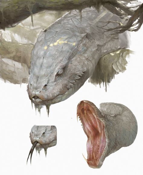 Snake Head Reference, Snake Concept Art, Snake Creature, Fantasy Snake, Snake Monster, Animal Hybrids, Snake Dragon, Snake Head, Snake Art