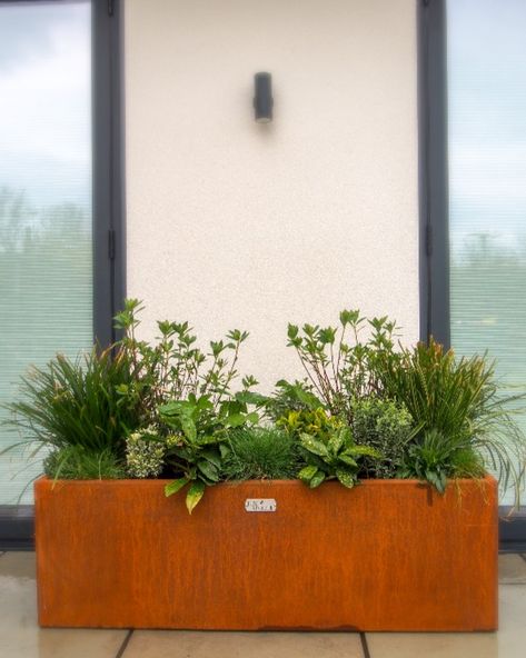 Corten Planter Front Garden Inspiration, White Planter Boxes, Metal Trough Planter, Plant Troughs, Metal Trough, Cor Ten Steel, Terraced Landscaping, Metal Garden Beds, Trough Planter