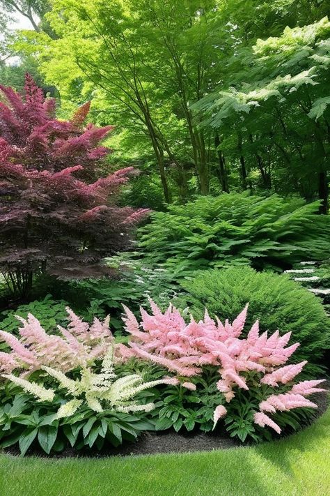 10 Best Shade Plants For Zone 8 Zone 8b Plants, Zone 8 Flowers, Zone 7 Landscaping, Zone 8 Landscaping, Zone 7 Plants, Shade Plants Perennial, Best Shade Plants, Zone 8 Plants, Full Sun Landscaping