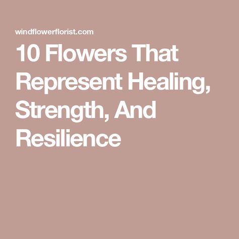 10 Flowers That Represent Healing, Strength, And Resilience Flower That Represents Strength, Flowers That Represent Healing, 10 Flowers, Stitch Sewing, Towards The Sun, Nerve Damage, Beyond Beauty, Stomach Ache, Spiritual Protection