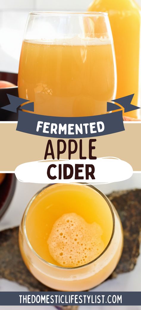 fermented apple cider Probiotic Soda, Fermented Apples, Sparkling Apple Cider, Apple Drinks, Fermented Drink, Vegetarian Paleo, Buy Apple, Fermenting, Apple Juice