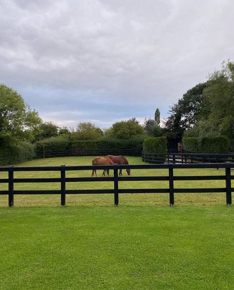 Horse Barn Designs, Dream Horse Barns, Farm Lifestyle, Horse Aesthetic, Dream Barn, Barn Design, Barn Ideas, Countryside House, Ranch Life