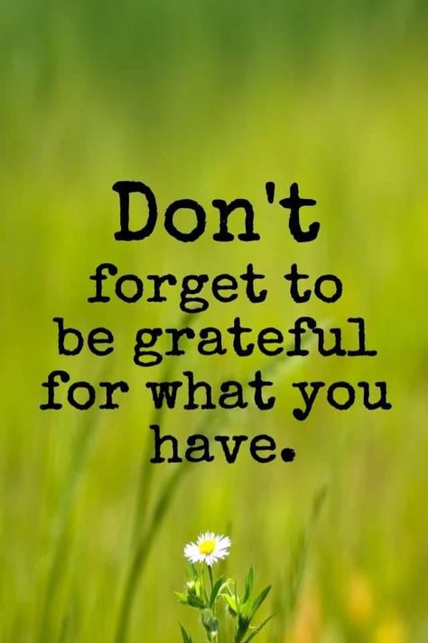 Don't forget to be grateful for what you have. Grateful Images, November Quotes, Grateful Quotes, Human Dignity, Tumblr Image, Word Of Mouth, Social Networking Sites, Facebook Image, Be Grateful