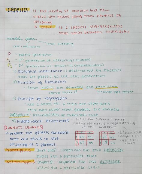 genetics Inheritance Notes Biology, Variation Biology Notes, Genetics Notes Biology, Genetics Aesthetic, Biology Notes Genetics, Genetics And Inheritance Notes, Genetic Engineering Notes, Genetic Inheritance Notes, Genetics Notes