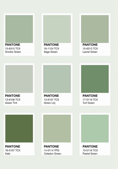 Pastel Green Furniture, Mint Green Pantone, Matcha Moodboard, Sage Green Colour Palette, Soft Green Color Palette, Green Pallet, Pantone Cmyk, Sage Color Palette, Sage Green Wedding Theme