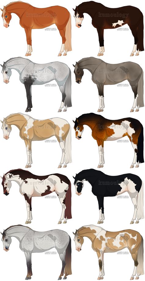 Horses Drawing, Horse Art Ideas, Fell Pony, Horse Animation, Horse Markings, Horse Coat Colors, Horse Art Drawing, Horse Facts, Horse Sketch