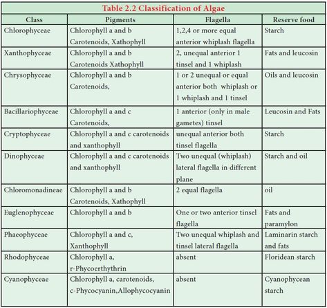 Algae Classification, Vegetative Reproduction, Green Algae, Red Algae, Cell Wall, Biology