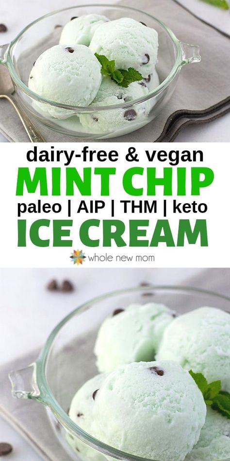 Mint Chocolate Chip Ice Cream Recipe, Chocolate Chip Ice Cream Recipe, Paleo Ice Cream, Mint Chip Ice Cream, Aip Desserts, Low Carb Ice Cream, Mint Chocolate Chip Ice Cream, Dairy Free Ice Cream, Mint Chocolate Chip