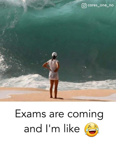 When Exams Are Over, Board Exam Quotes Funny, Exam Thoughts, Exam Jokes, Exams Memes, Funny English Jokes, English Jokes, Funny Texts Jokes, School Jokes