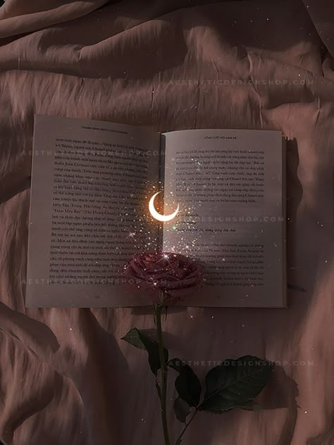 Aesthetic Image, An Open Book, Aesthetic Shop, My Core, Open Book, Solar Eclipse, Angel Numbers, Aesthetic Design, A Rose