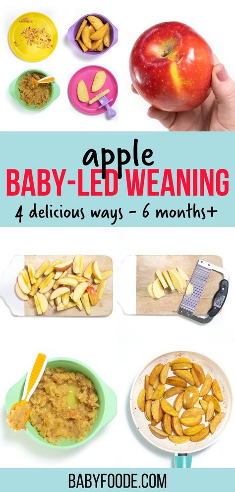 Apples are bursting with essential nutrients for a growing baby. You can serve apples to baby as a smooth baby food puree or as a finger food for baby-led weaning. Either way is a great option, and one is not better than the other. The ultimate goal for the first 100 days of introducing solid foods is to serve as many flavors and textures to baby as possible. 6 months and up. Apple Baby Food, Introducing Solid, Easy Homemade Baby Food, Baby Food Puree, 6 Month Baby Food, Baby Led Weaning First Foods, Weaning Foods, Baby Led Feeding, Baby Apple