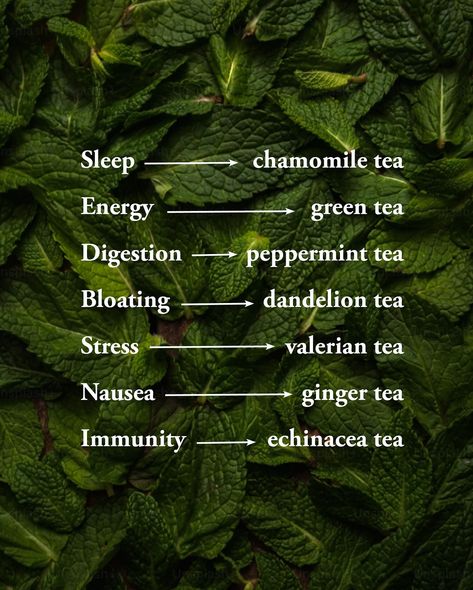 Cozy drinks that are full of benefits—that’s our cup of tea! 🫖 Growing Tea Plants, Healthy Teas To Drink, Spearmint Tea Benefits, Green Tea Aesthetic, What Is Green Tea, Tea Therapy, Ayurveda Food, Chamomile Tea Benefits, Growing Tea