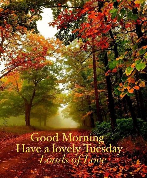 Tuesday Images Good Morning, Favorites Questions, Tuesday Morning Wishes, Happy Tuesday Images, Good Morning Tuesday Images, Fall Bible Verses, Happy Tuesday Morning, Autumn Greetings, Tuesday Quotes Good Morning