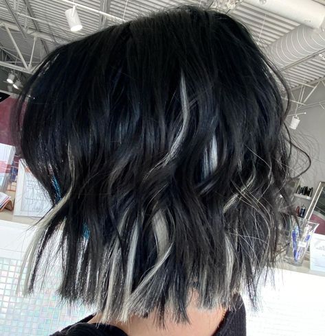 Black Short Hair Highlights, Short Black Hair With Highlights Ideas, Silver Tips Hair, Black On Top Silver Underneath Hair, Black Hair With Highlights Bob, Black Bob Hair With Highlights, Dark Brown Hair With Silver Underneath, Short Hair Highlights On Black Hair, Black With Silver Hair