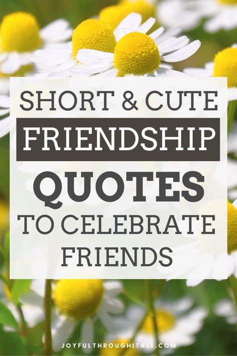 Short, cute, funny and meaningful Friendship quotes for best and special friends Quotes For Good Friends, Inspirational Friendship Quotes, Short Funny Friendship Quotes, Positive Quotes For Friends, Meaningful Friendship Quotes, Special Friends Quotes, Beauty Of Friendship, Inspirational Quotes About Friendship, Special Friendship Quotes