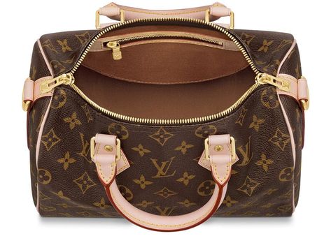 Louis vuitton handbags prices