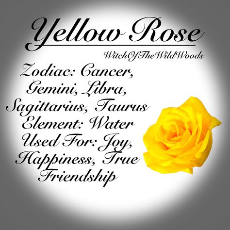 WitchOfTheWildWoods Herbs Properties, Herb Magick, Native American Quotes Wisdom, Flower Healing, Herbs Magic, Yellow Rose Petals, Herb Magic, Magickal Correspondences, Plant Witch