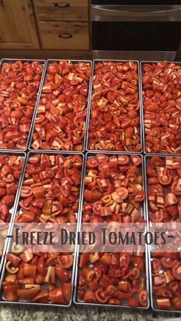 Freeze Dry Tomatoes, Freeze Dry Food, Freeze Drying Tomatoes, Freeze Dried Tomatoes, Freeze Dried Vegetables, Dried Vegetables, Shelf Life, Freeze Drying Food, Food Saver