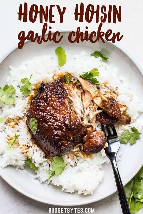 Hoisin Honey Garlic Chicken Chicken Slowcooker, Fowl Recipes, Rice And Chicken, Budget Bytes, Chicken Entrees, Summer Meals, Easy One Pot Meals, Awesome Recipes, Bon Appetite