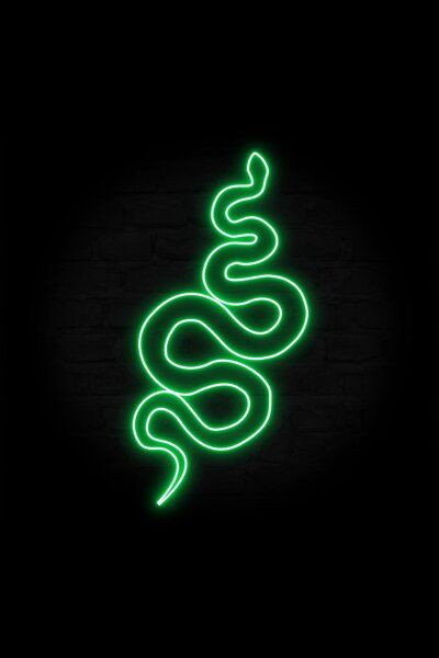 A vector icon of a snake outline with a vaporwave vibe! This design is featured with a green color. Snake Icon, Snake Outline, Galaxia Wallpaper, Green Aesthetic Tumblr, Retro Vaporwave, Dragon Wallpaper Iphone, Dark Green Wallpaper, Snake Wallpaper, Dark Green Aesthetic