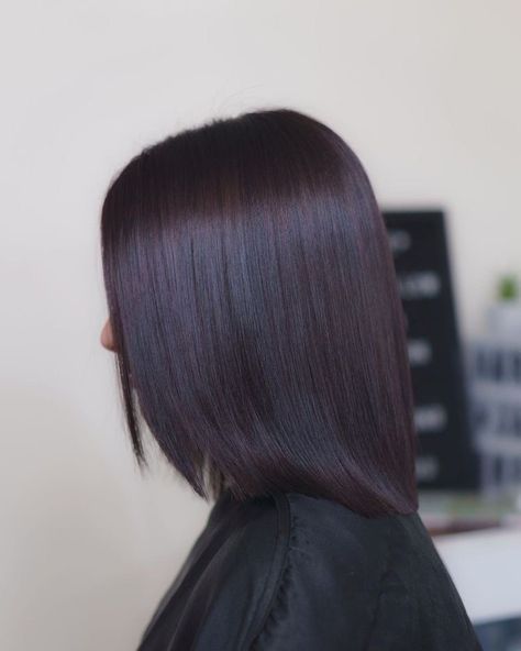 Dark Hair With Purple Tint, Eggplant Hair Color Dark, Midnight Violet Black Hair, Dark Burgundy Brown Hair, Black Hair With Purple Tint, Black Violet Hair, Black Cherry Hair Color Dark, Dark Violet Hair Color, Cherry Black Hair Color