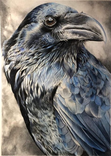 Odin's Ravens Tattoo, Norse Raven, Polka Tattoo Designs, Trash Polka Tattoos, Trash Polka Tattoo Designs, Polka Tattoo, Crow Painting, Raven Bird, Trash Polka Tattoo