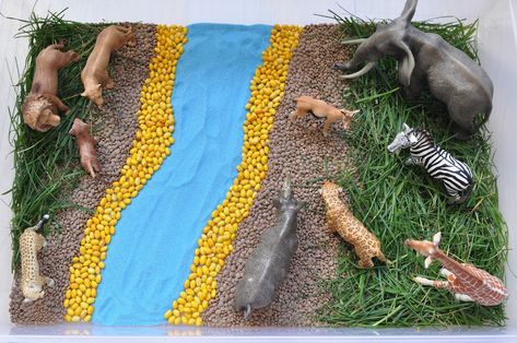 Creative Projects for Kids: African Savannah Sensory Bin Safari Activities, Habitats Projects, African Savannah, Blue Tissue Paper, Sensory Boxes, Animal Activities, Animal Habitats, Sensory Bin, Safari Theme