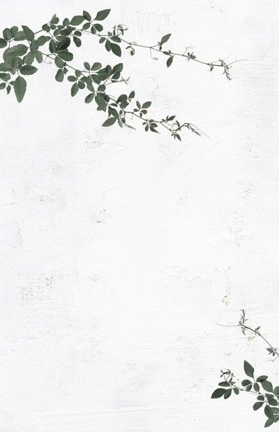 Martha's Vineyard | Flower background wallpaper, Flower backgrounds, Plant wallpaper Invitation Background, Instagram Background, Framed Wallpaper, Plant Wallpaper, Monstera Plant, Flower Background, Martha's Vineyard, Instagram Wallpaper, Flower Background Wallpaper