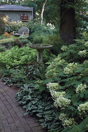 Side House Garden, Shade Garden Design, Japanese Garden Landscape, Pathway Landscaping, Shade Garden Plants, Backyard Vegetable Gardens, Vegetable Garden Design, Woodland Garden, Garden Pathway