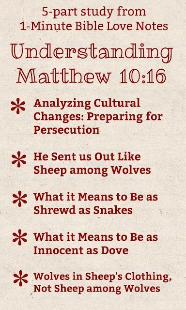 Bible Love Notes: The Matthew 10:16 Series: Sheep, Wolves, Snakes, and Doves Matthew 10:16, Matthew 10 16, Bible Love Notes, Prayer Partner, Matthew 16, Matthew 10, Stand Firm, Bible Love, Scripture Reading