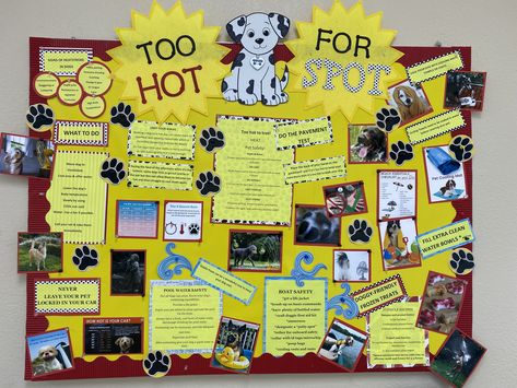 Animal Shelter Organization Ideas, Veterinary Bulletin Board Ideas, Vet Clinic Bulletin Board Ideas, Clinic Bulletin Board Ideas, Veterinary Clinic Ideas, Veterinary Decor, Information Bulletin Boards, Office Bulletin Board Ideas, Dogs Crafts