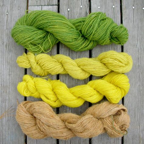 Dyeing With Goldenrod, Goldenrod Dye, Goldenrod Flower, Natural Dye Fabric, Yarn Inspiration, Knitting Blogs, Fabric Yarn, Knit Picks, Different Plants