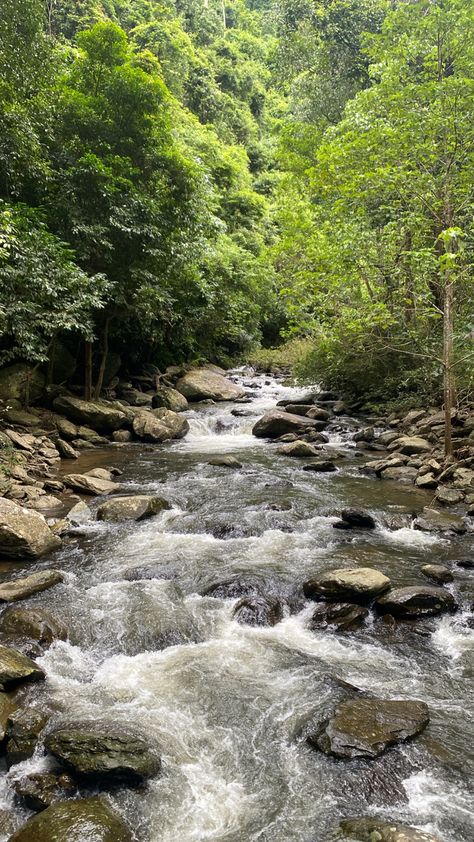 Nature Aesthetic Pictures, Blur Image Background, Khao Yai, A Breath Of Fresh Air, Beautiful Sites, Breath Of Fresh Air, Nature Girl, Story Instagram, Nature Aesthetic