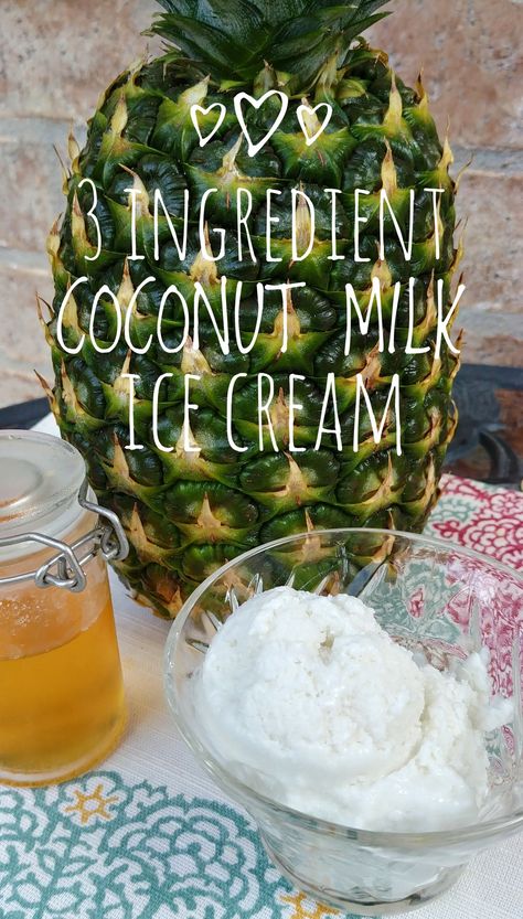 COCONUT MILK ICE CREAM-only 3 ingredients and no ice cream needed. An easy tasty treat for any coconut milk leftover from recipes! Leftover Coconut Milk Recipes, Leftover Coconut Milk, Cocnut Milk, Pineapple Frosting, Coconut Milk Dessert, Coconut Cream Recipes, Condensed Coconut Milk, Coconut Milk Ice Cream, Ice Cream For Breakfast