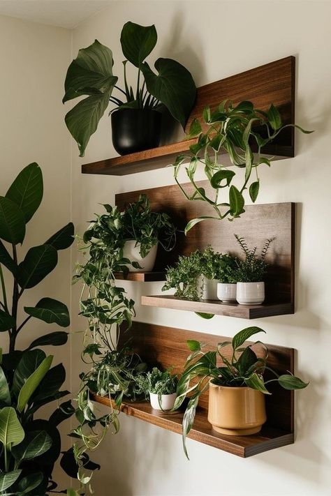 Plants Wall Shelf, Wood Shelves For Plants, House Plant Shelves, Plant Floating Shelves, Wooden Apartment Decor, Kitchen Plant Shelves, Plant Displays Indoor, Floating Shelf Plants, Indoor Plant Wall Shelves