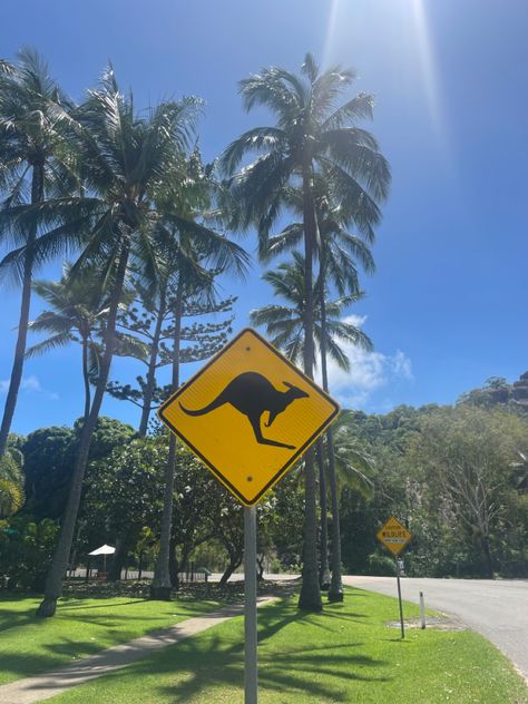 #australia #kangaroo #traveling #backpacking Backpacking Australia Aesthetic, Australia Kangaroo, Australia Backpacking, Dream Vacation, Fav Celebs, Dream Vacations, Backpacking, Kangaroo, Vision Board