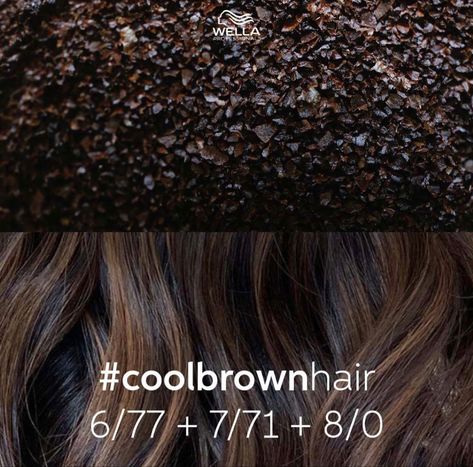 Wella Color Touch Formulas Brown, Wella Hair Color Chart, Wella Formulas, Toner Formulas, Warm Brown Hair, Wella Hair Color, Ash Brown Hair Color, Redken Hair Color, Cool Brown