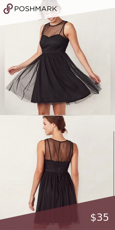 BOGO FREE Lauren Conrad Midnight Garden Tulle Dress Midnight Garden, Size 12 Dress, Lc Lauren Conrad, Lauren Conrad, Tulle Dress, Beautiful Dress, Beautiful Dresses, Dress Shop, Colorful Dresses