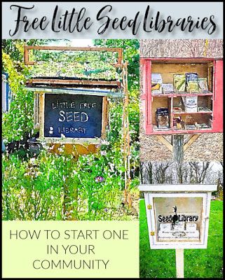 The Garden Gate: Free Little Seed Libraries Library Garden Ideas, Seed Exchange Ideas, Neighborhood Plant Swap Stand, Plant Swap Stand, Diy Seed Library, Seed Library Ideas, Garden Club Program Ideas, Community Garden Ideas, Seed Library Display