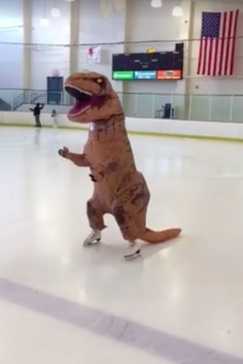 Dinasour Costume, Funky Dinosaur, Dinosaur Meme, Pumpkins Spice, Dinosaur Suit, Cursed Pictures, Goofy Pics, Inflatable Dinosaur Costume, Inflatable Dinosaur