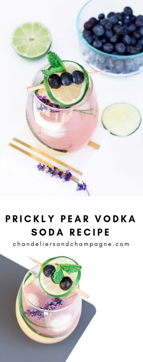 Prickly Pear Vodka Recipes, Prickly Pear Vodka Drinks, Prickly Pear Cocktail Recipes, Pear Vodka Drinks, Vodka Soda Recipe, Vodka Soda Cocktails, Raspberry Martini Recipe, Prickly Pear Recipes, Gimlet Recipe