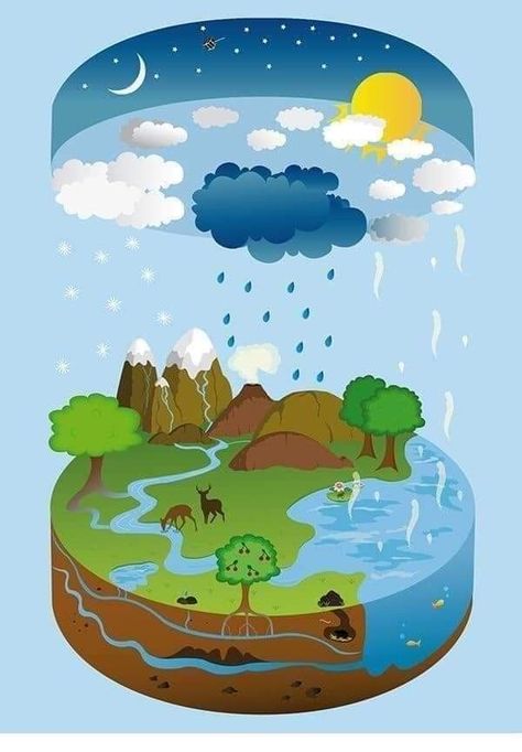 Water Cycle Craft, Water Cycle For Kids, Water Cycle Poster, Water Cycle Project, Water Cycle Activities, Vetenskapliga Experiment, Cycle Drawing, The Water Cycle, Kid Science