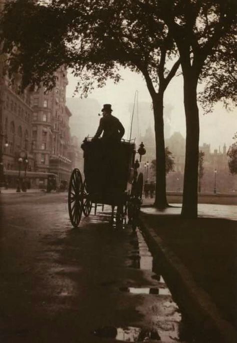 Central Park New York c1900 Old New York, Horse Drawn, Vintage New York, Gilded Age, Foto Art, Vintage Pictures, White Photo, New York New York, Vintage Photographs